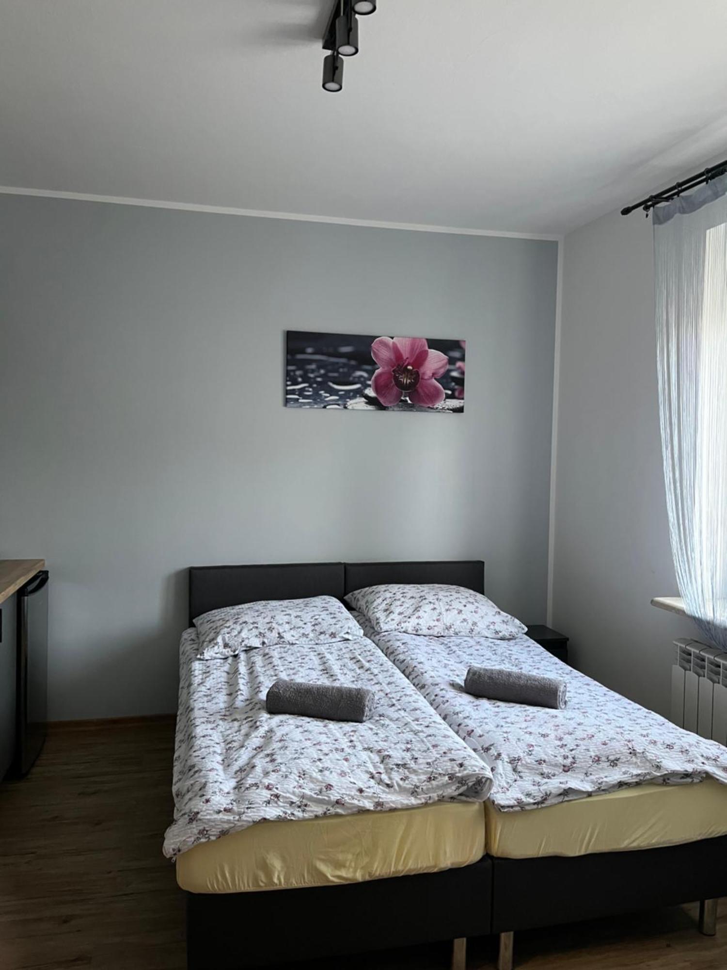 Dom Wypoczynkowy Nad Wisla Puławy Екстериор снимка